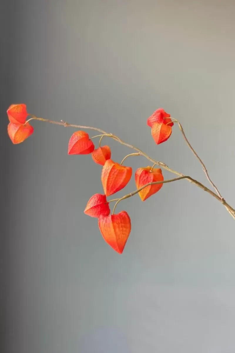 Pip Kunstbloemen Fall Beauty<Pip Studio Clearance