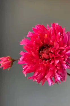 Pip Kunstbloemen Fall Beauty<Pip Studio Clearance