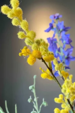 Pip Kunstbloemen Floral Fantasy<Pip Studio Online