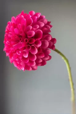Pip Kunstbloemen Sweet Symphony<Pip Studio