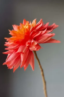 Pip Kunstbloemen Sweet Symphony<Pip Studio