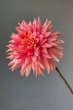 Pip Kunstbloemen Vanilla Bloom<Pip Studio Hot